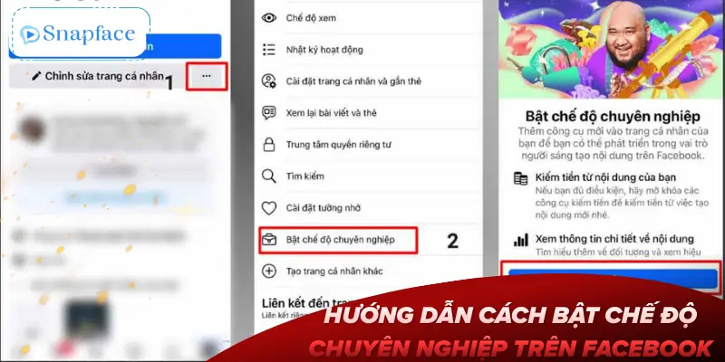 cach-bat-che-do-chuyen-nghiep-tren-facebook-huong-dan