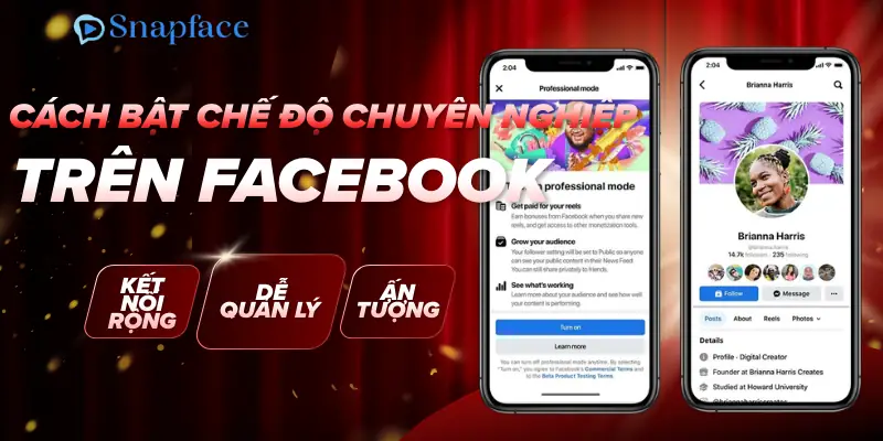 cach-bat-che-do-chuyen-nghiep-tren-facebook